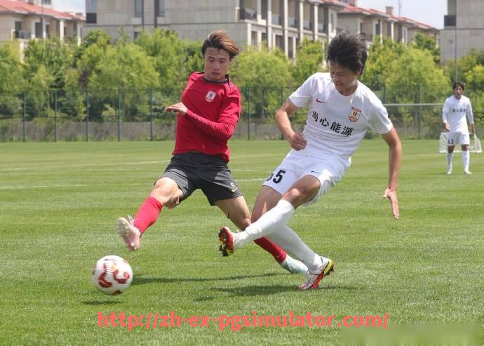 PG电子在线试玩入口-意甲男排有哪些球队？男排联赛情况简析