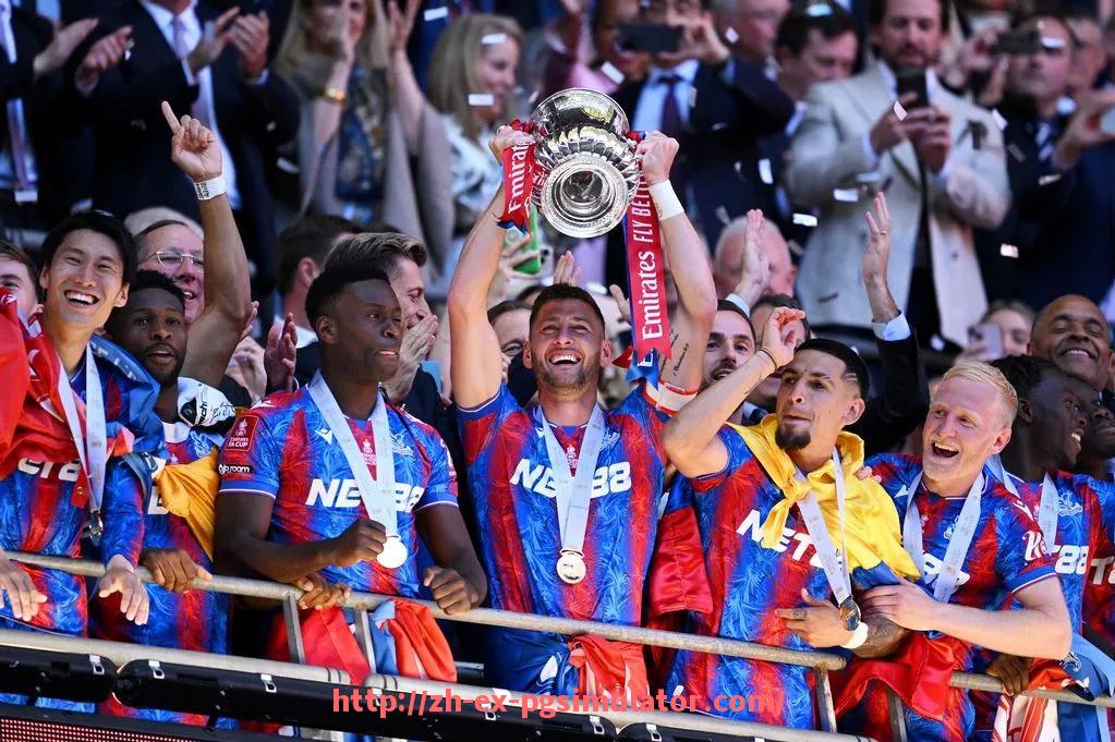 PG电子在线试玩入口-法甲视频回放系统应用情况：技术辅助判罚的进步与挑战